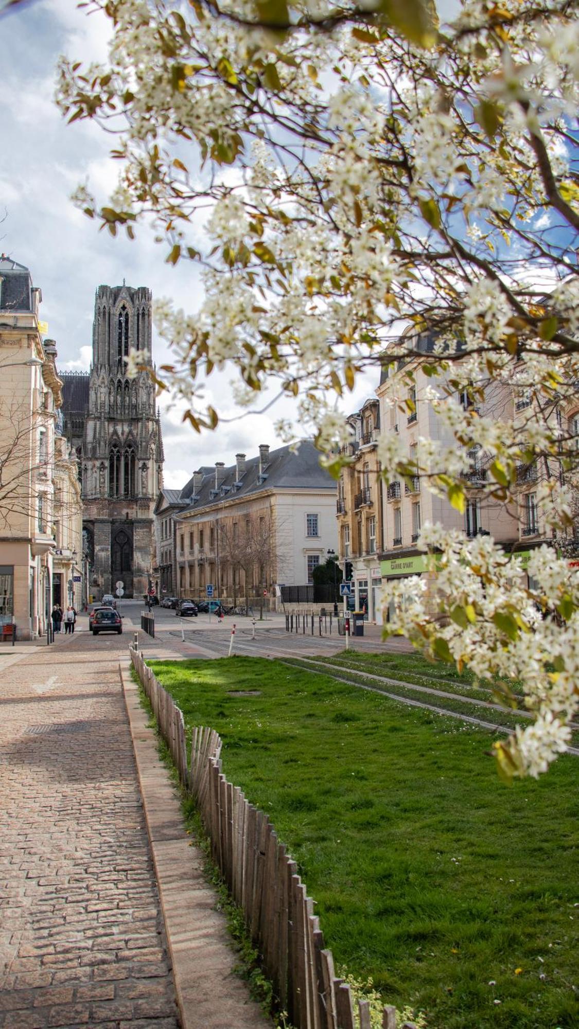 Rare! Magnifique Appartement - Vue Cathedrale Reims Exterior photo